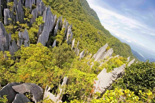 Công viên quốc gia Gunung Mulu , Malaysia